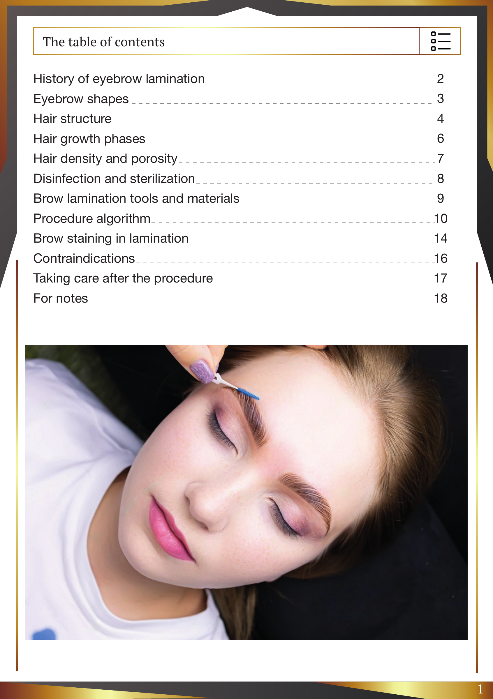Table of contents from Brow Lamination Manual